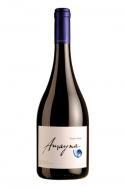 Vina Garces Silva - Amayna Pinot Noir 2018 (750)