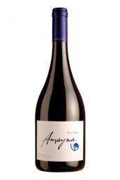 Vina Garces Silva - Amayna Pinot Noir 2018 (750ml) (750ml)