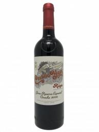 Bodegas Marques de Murrieta - Castillo Ygay Gran Reserva Especial 2009 (750ml) (750ml)