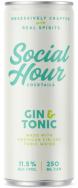 Social Hour Cocktails - Gin & Tonic (252)